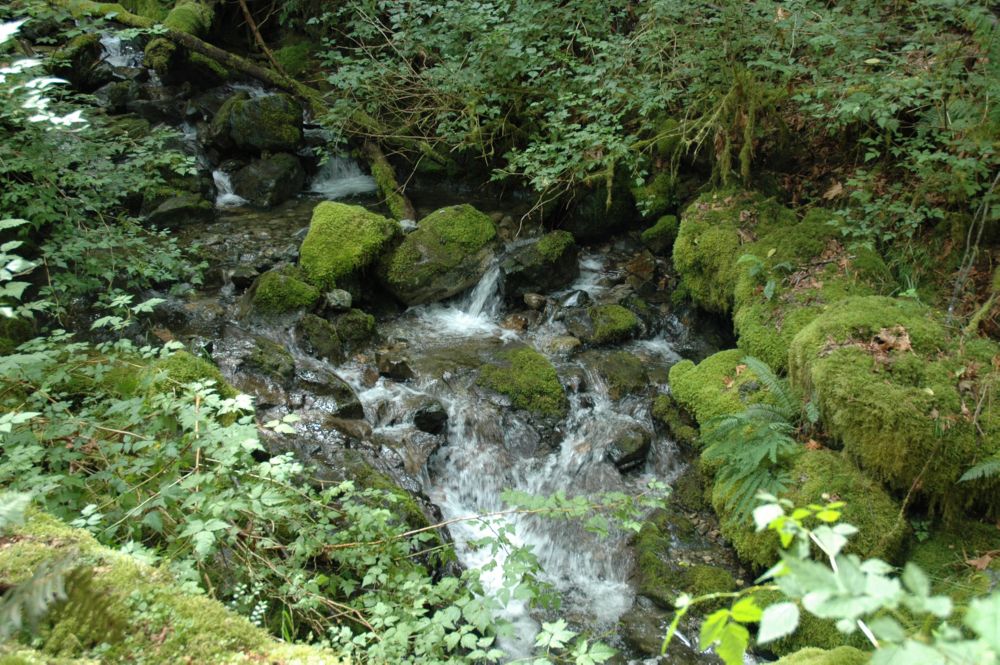 Img04642.Stream